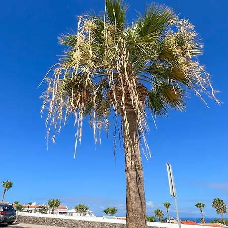 El Paraiso * アデヘ