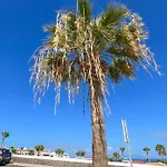 El Paraiso * 阿德耶