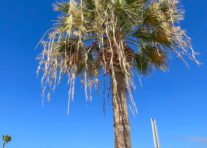 El Paraiso * אדחה